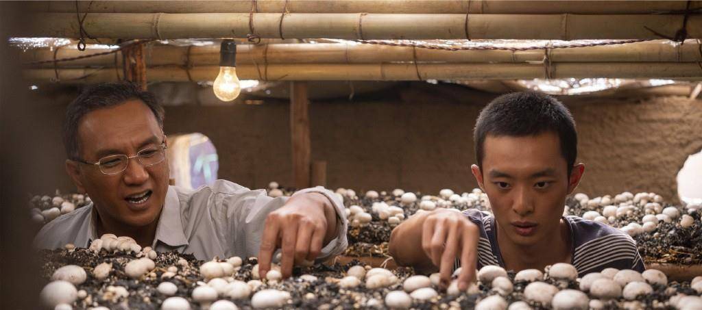 山海情:尕娃归来,没有功成名就,但意义深远,高明_事情_家乡_老二