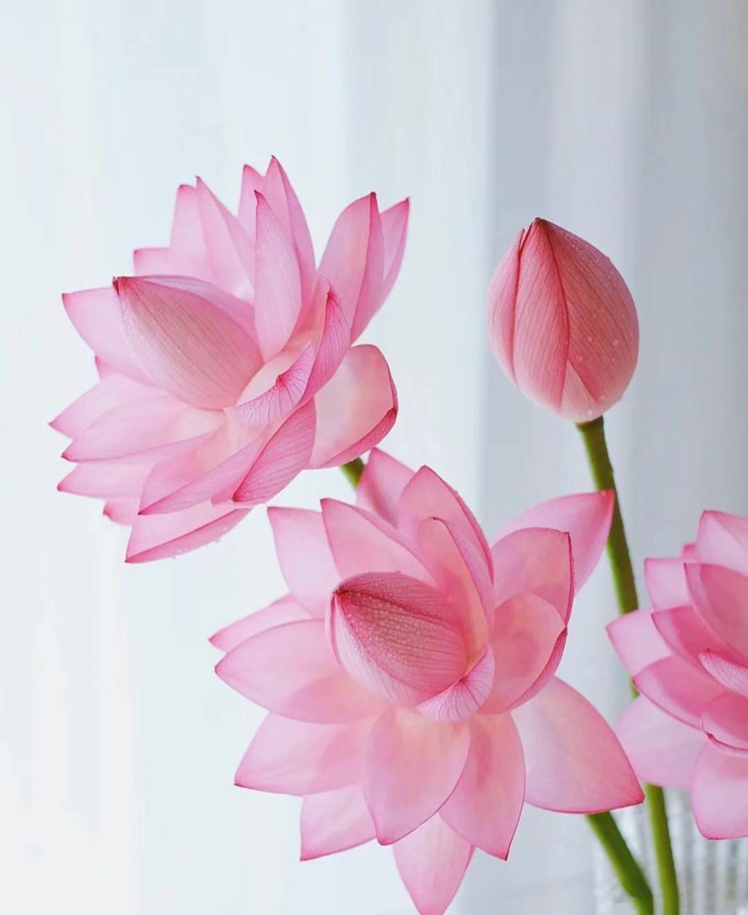 战胜自己才是一个进步_人生_因为_梦想