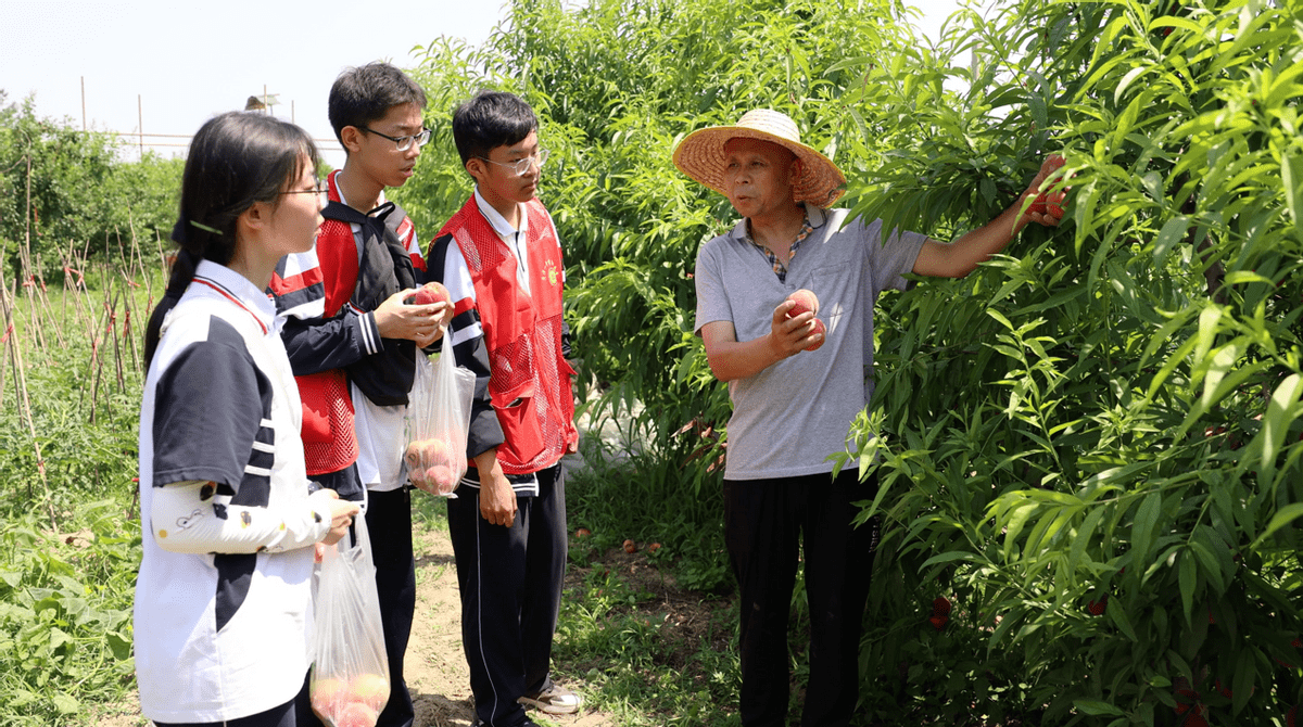 菏泽一中学生上吊图片