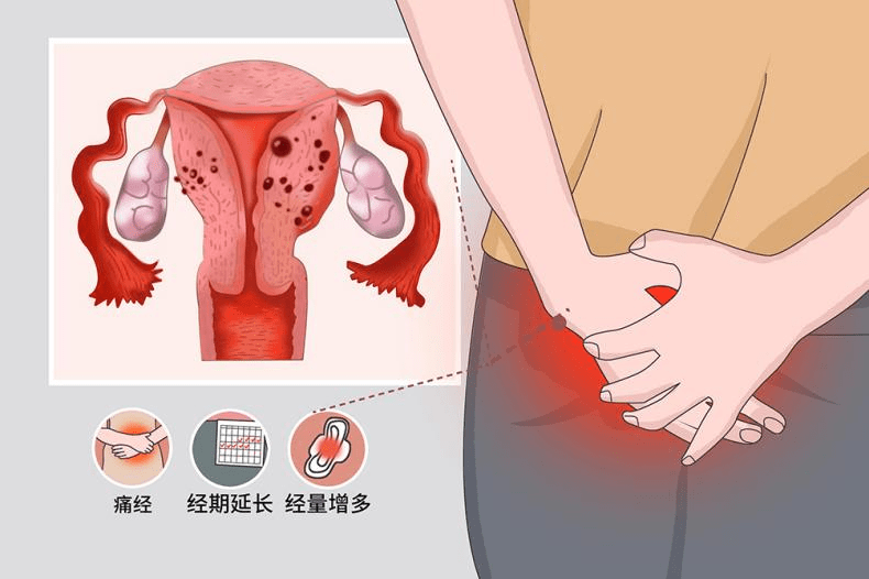 来自搜狐网