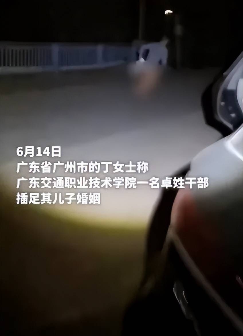 高校干部车内出轨被女方婆婆抓现行,网友：配为人师表么？