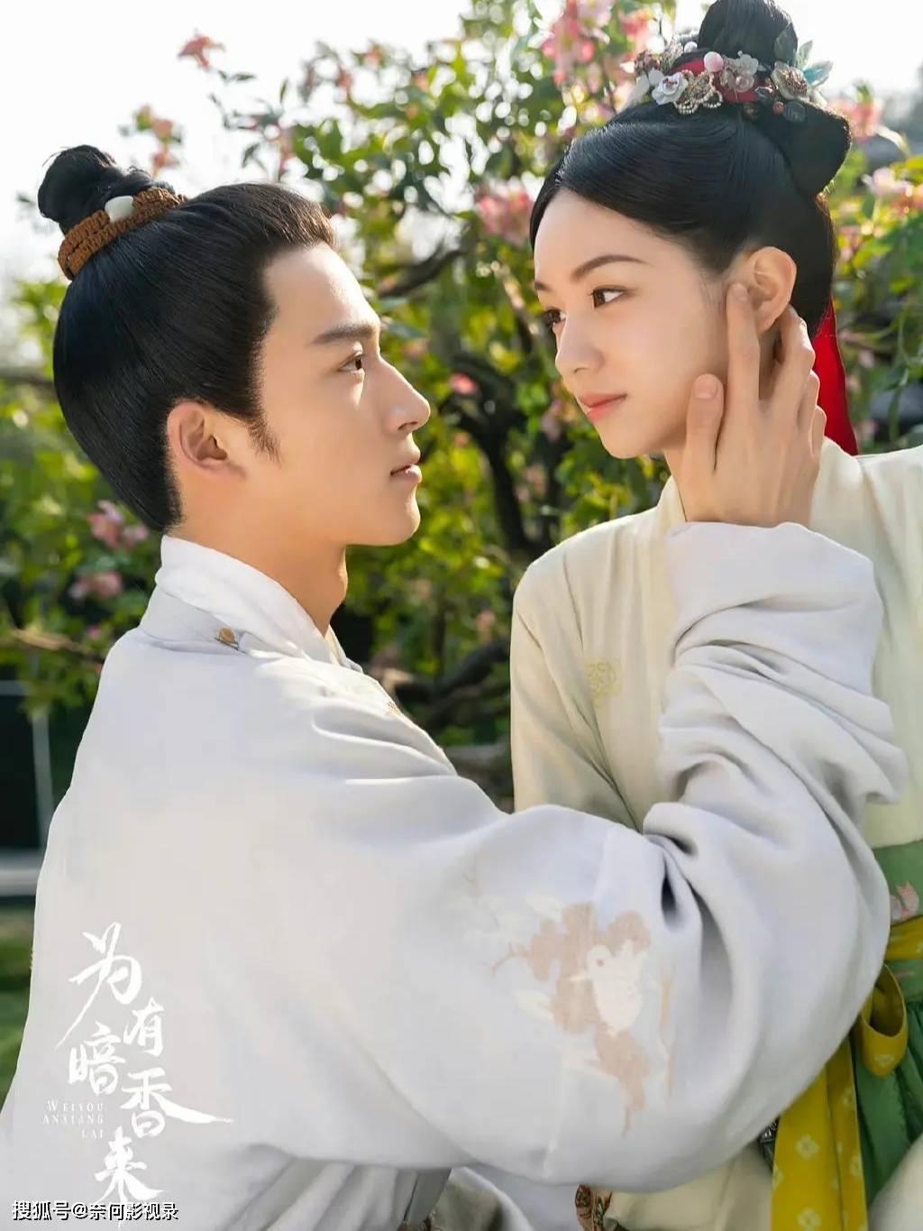 《为有暗香来》改编自《洗铅华:恶毒女配生存录》,讲述了曾经因一念之