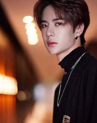 欧弟离开《天天向上》因为片酬低?