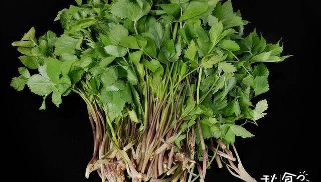来自千里之外的美食,东北山野菜大叶芹,1菜2吃,满是家乡的味道