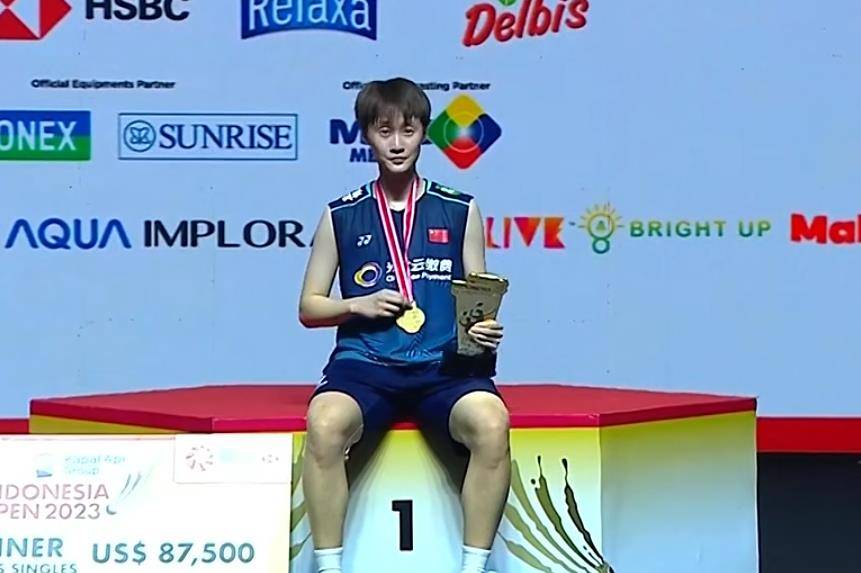 最佳陈雨菲归来,2-0里约奥运冠军,印尼公开赛冠军_马林_比赛_比分