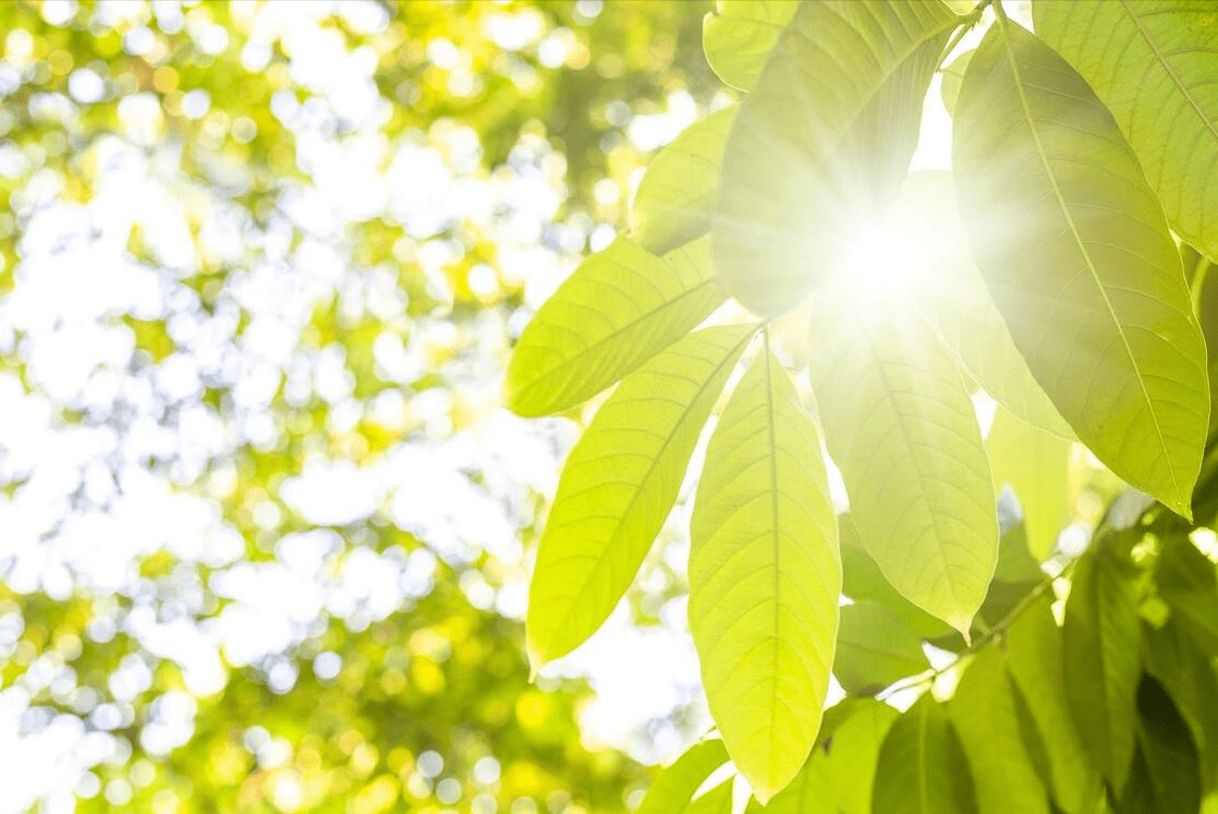 原创            今年夏至不一般，“夏至忌三事，一年都顺利”啥意思？3事指啥？-今年夏至节气