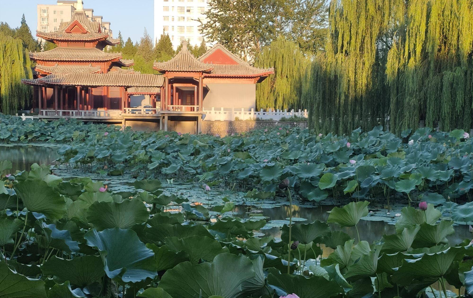 可以,當時內心有一個想法,就是要好好的成長自己,當然,偶爾也會有懈怠