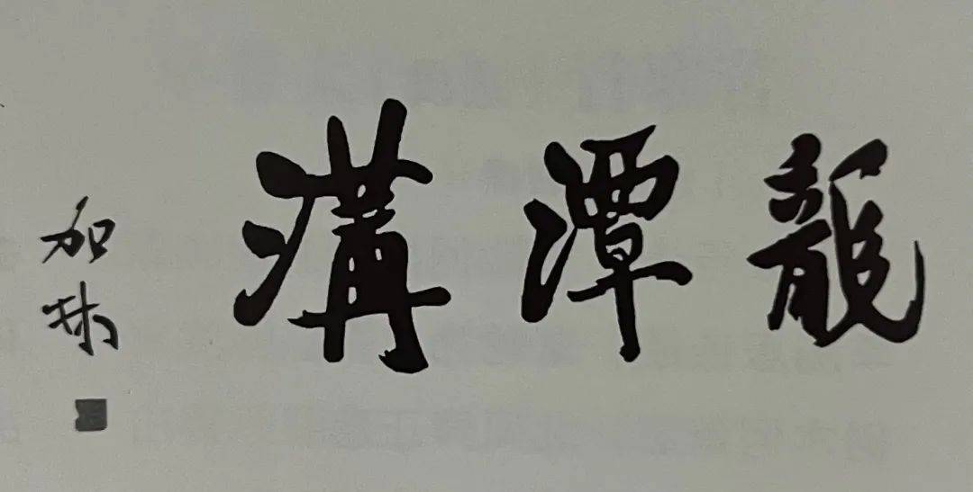 在万仙山采风的书法家