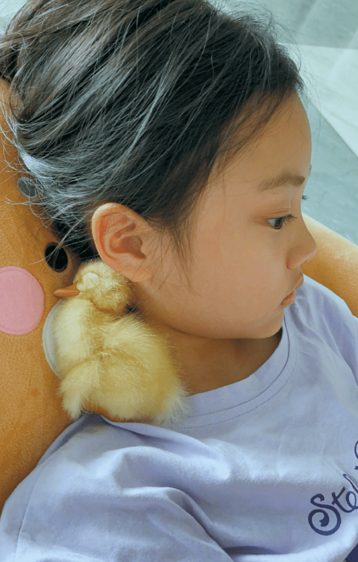 "的小小女汉子形象,虽然现在的甜馨脸上还有一些婴儿肥,不过五官已经