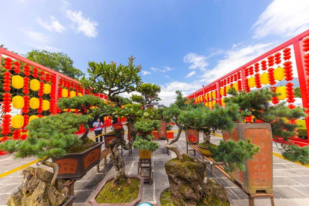 腾冲端阳花市已开幕!走,一起逛_花卉_特色_主题