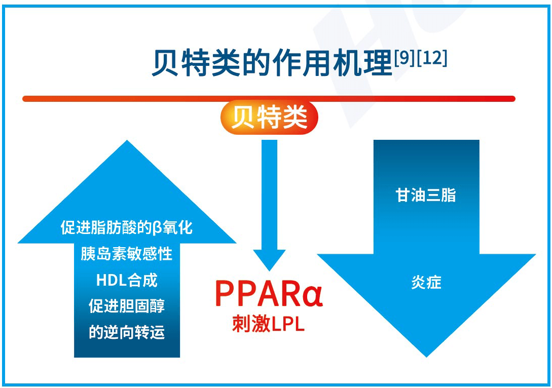 贝特类降脂药,非诺贝酸降低甘油三酯效果好吗?每天什么时候吃?