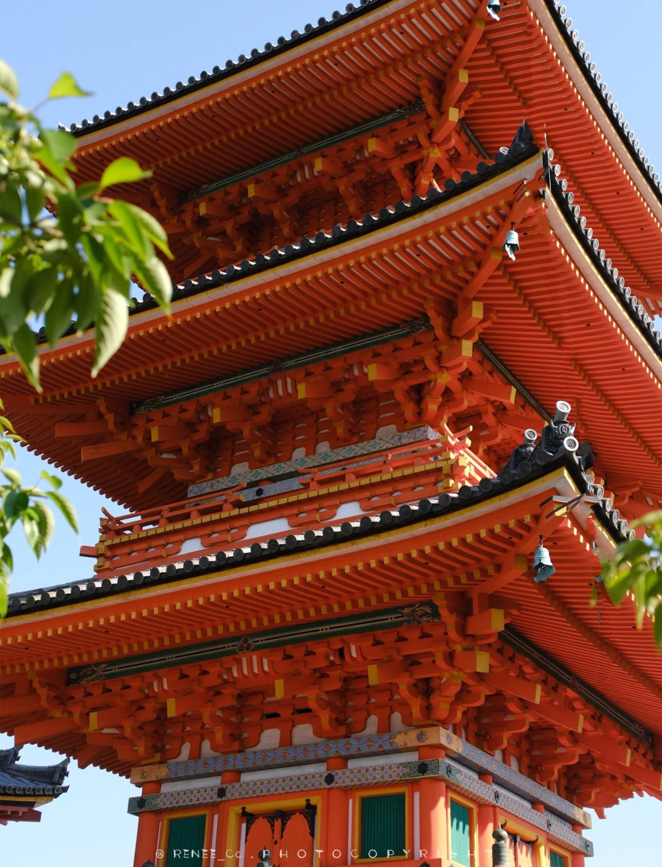 飞驰人生许凯 清水寺_景区_时候_满山