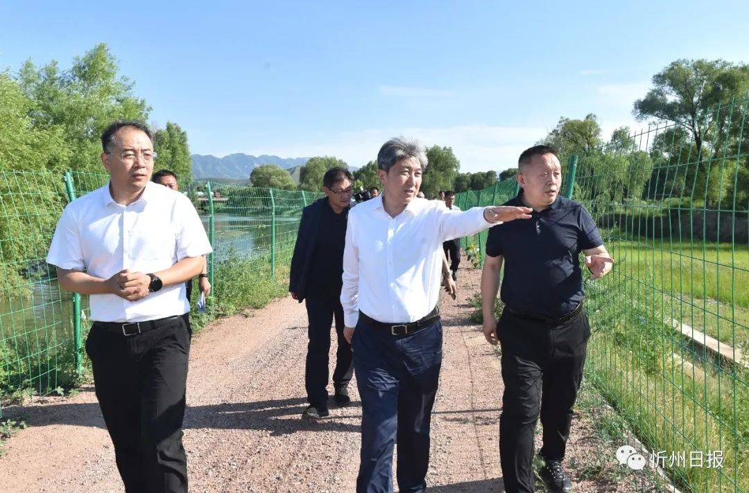 忻州:朱晓东在忻府区,定襄县调研河湖长,林长制工作_生态_污水处理厂
