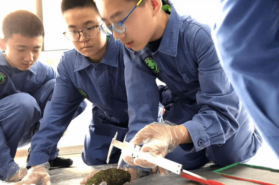 暑假研学 | 国宝守护者大熊猫科考夏令营，招募铲屎官，领取3张证书和科考报告