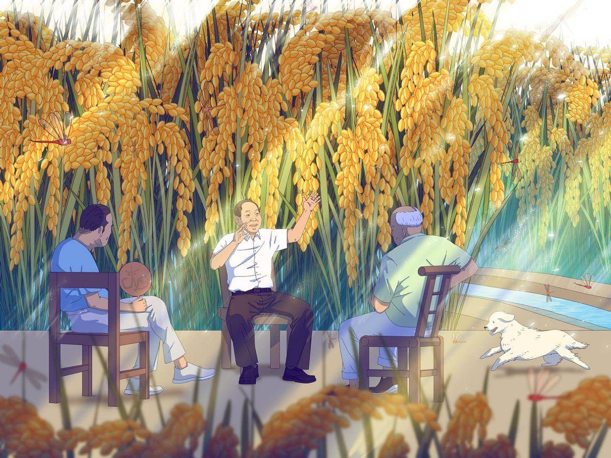 打趣地聊起自己梦到过两次和朋友们相携在高高的稻穗下乘凉聊天的梦境