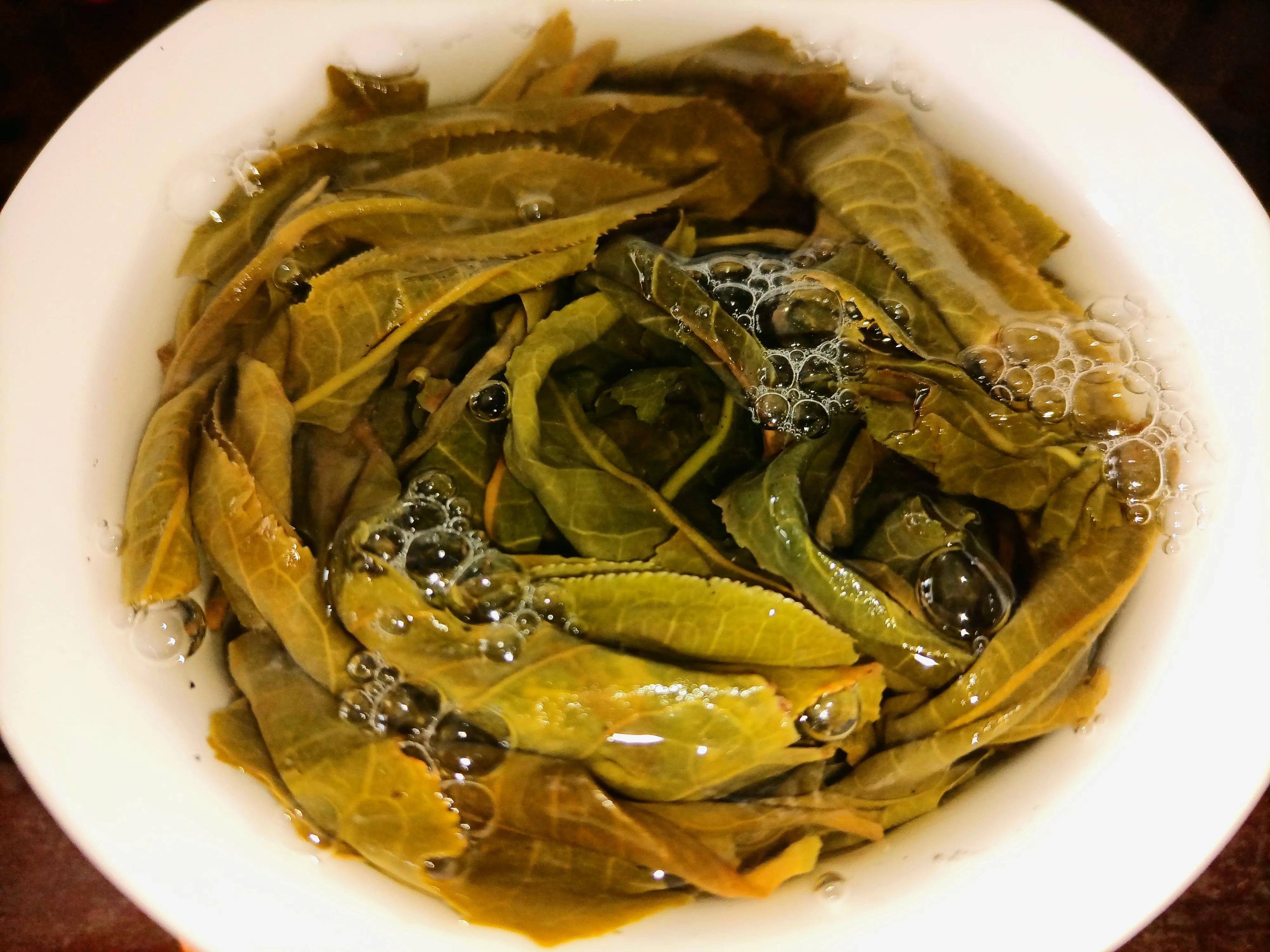 品鉴坝糯藤条茶_茶树_普洱_半山