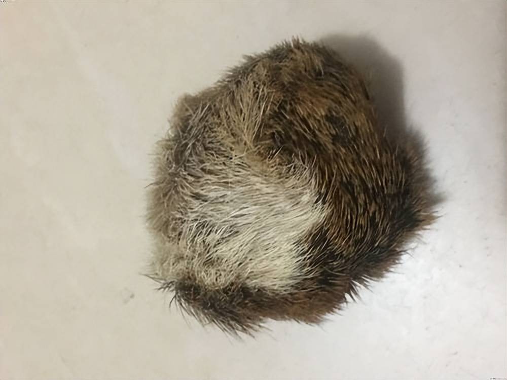林麝_獐子_徐某
