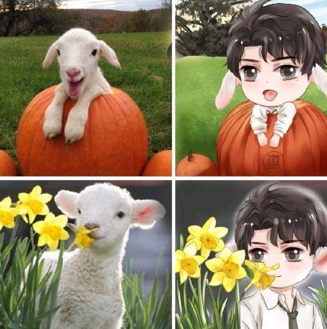 188男团有趣外号,邵群是大鹅,赵锦辛是绵羊,宋居寒是巨婴核桃_何故