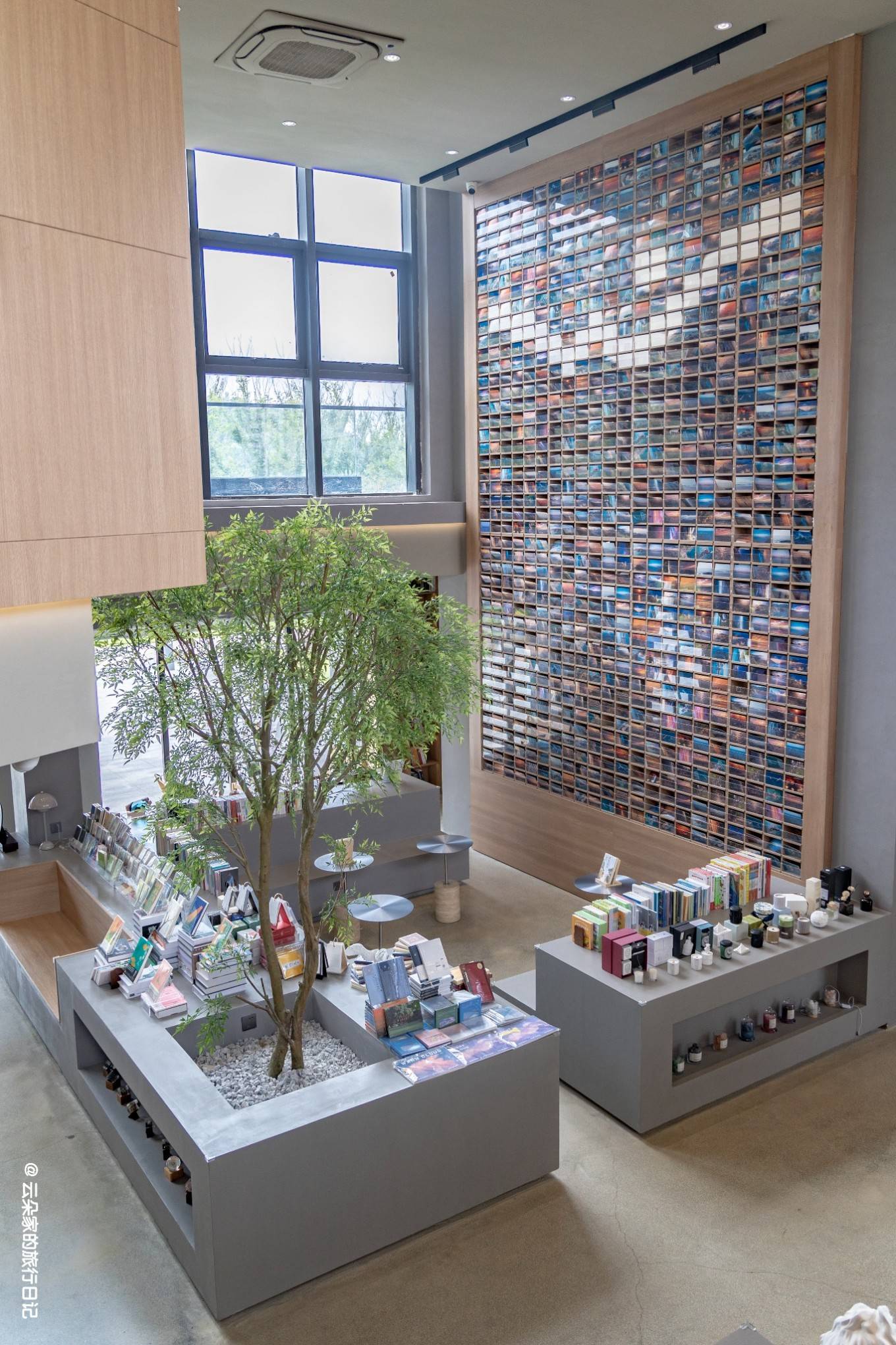 傅祖裕飞驰人生 闻风书店_大海_鹿栏_沙边