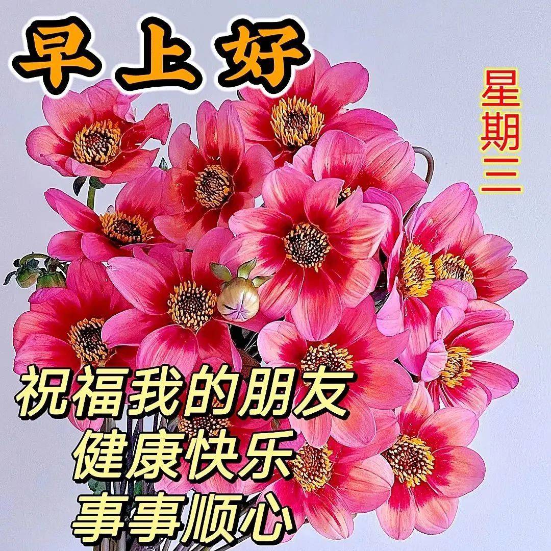6月28日周三早安,漂亮的早上好祝福语图片