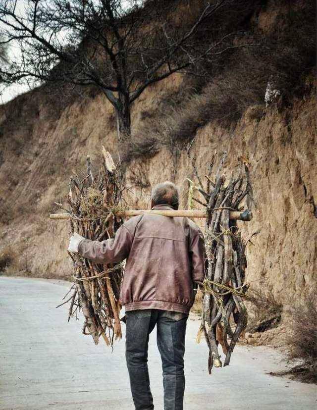 大山深处的父老乡亲,辛勤备柴准备窝冬_砍柴_孺子牛_山路