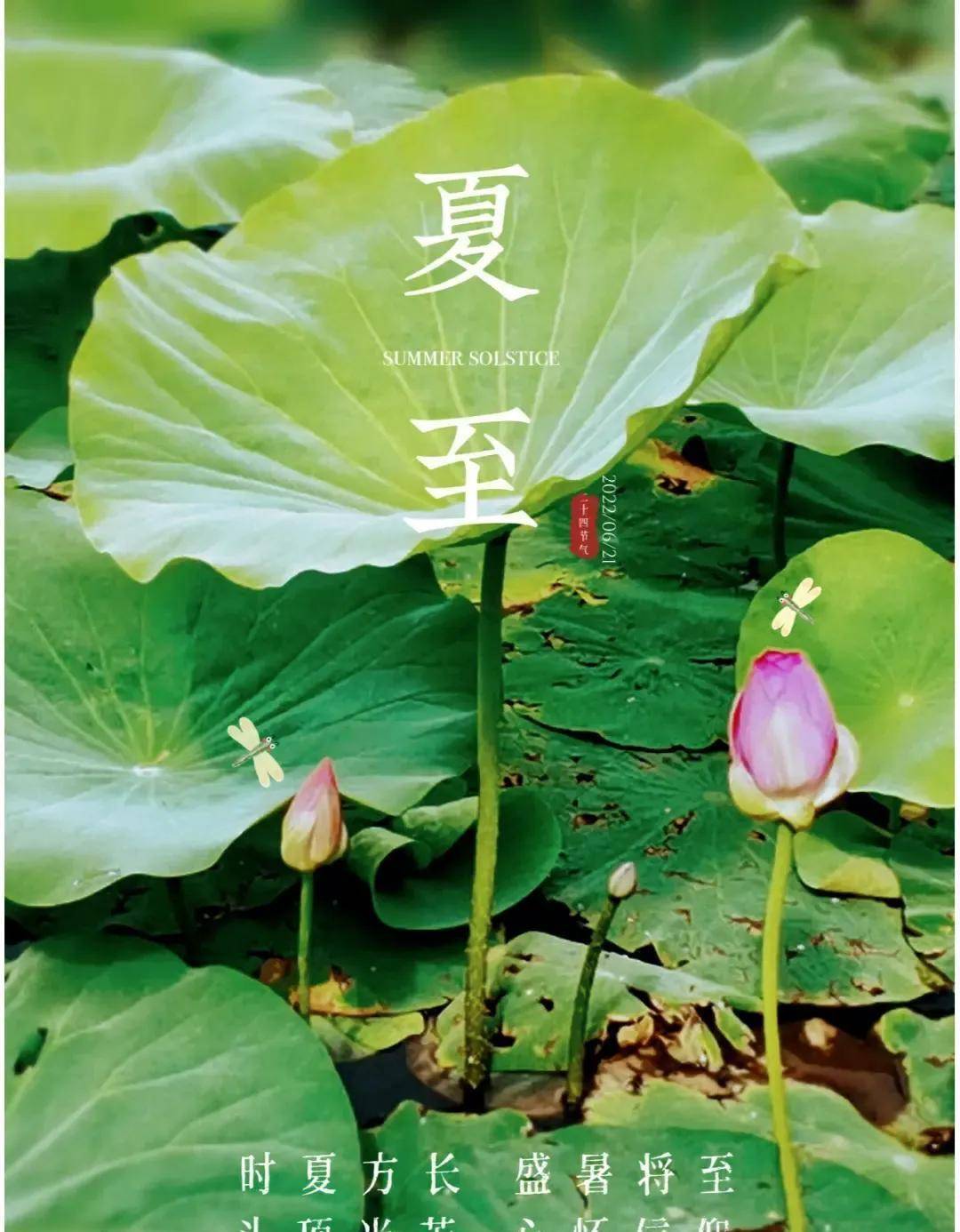 原创            「告别炎热」夏至应该吃什么，让你清凉一夏！-夏至吃什么呀