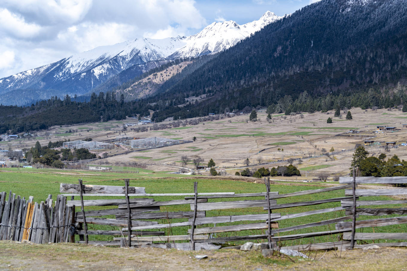 谢江,罗磊,刘韬 通麦特大桥的历史_鲁朗_景色_森林