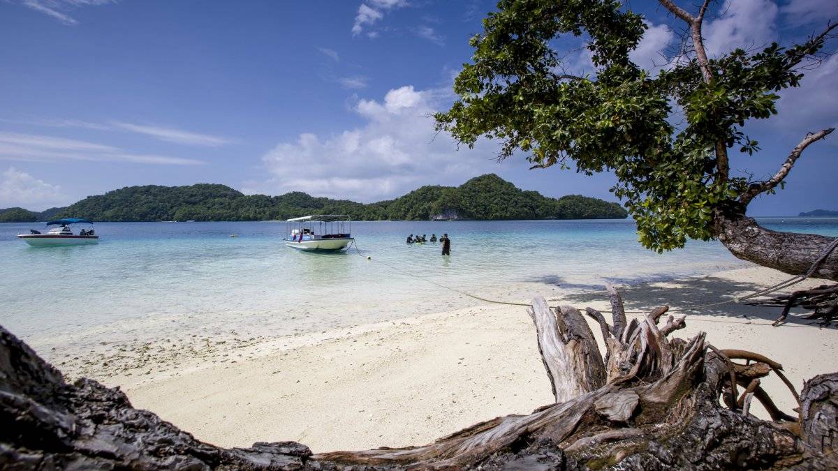 又一"邦交"传出弃台消息,拟与大陆建立关系_中国_台湾_危地马拉