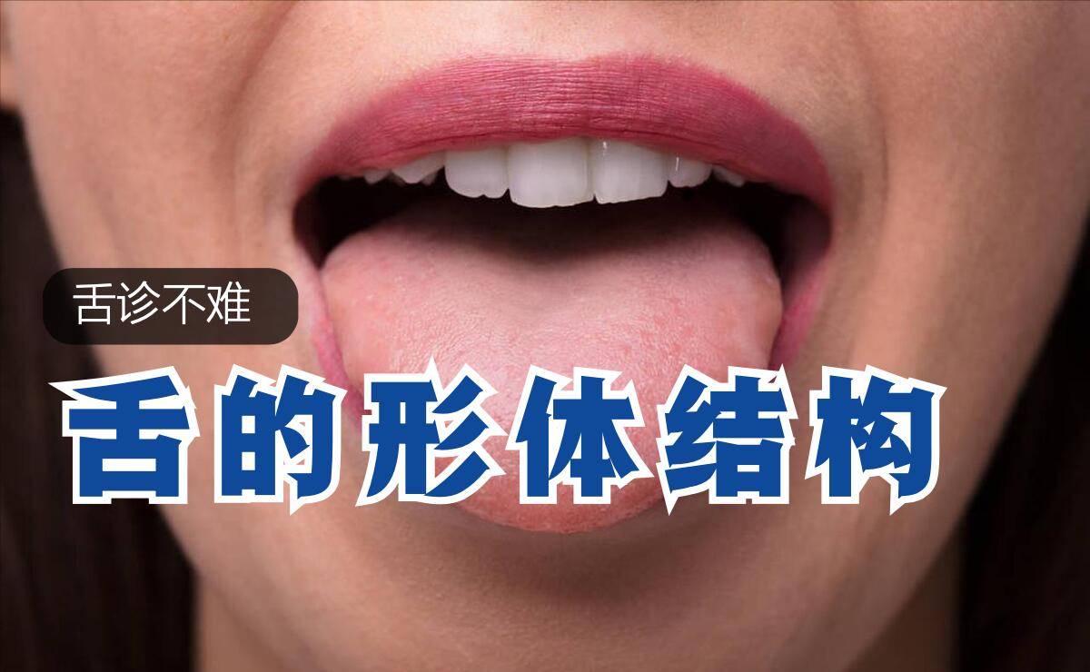 舌診不難:舌的形體結構_乳頭_舌頭_病理變化