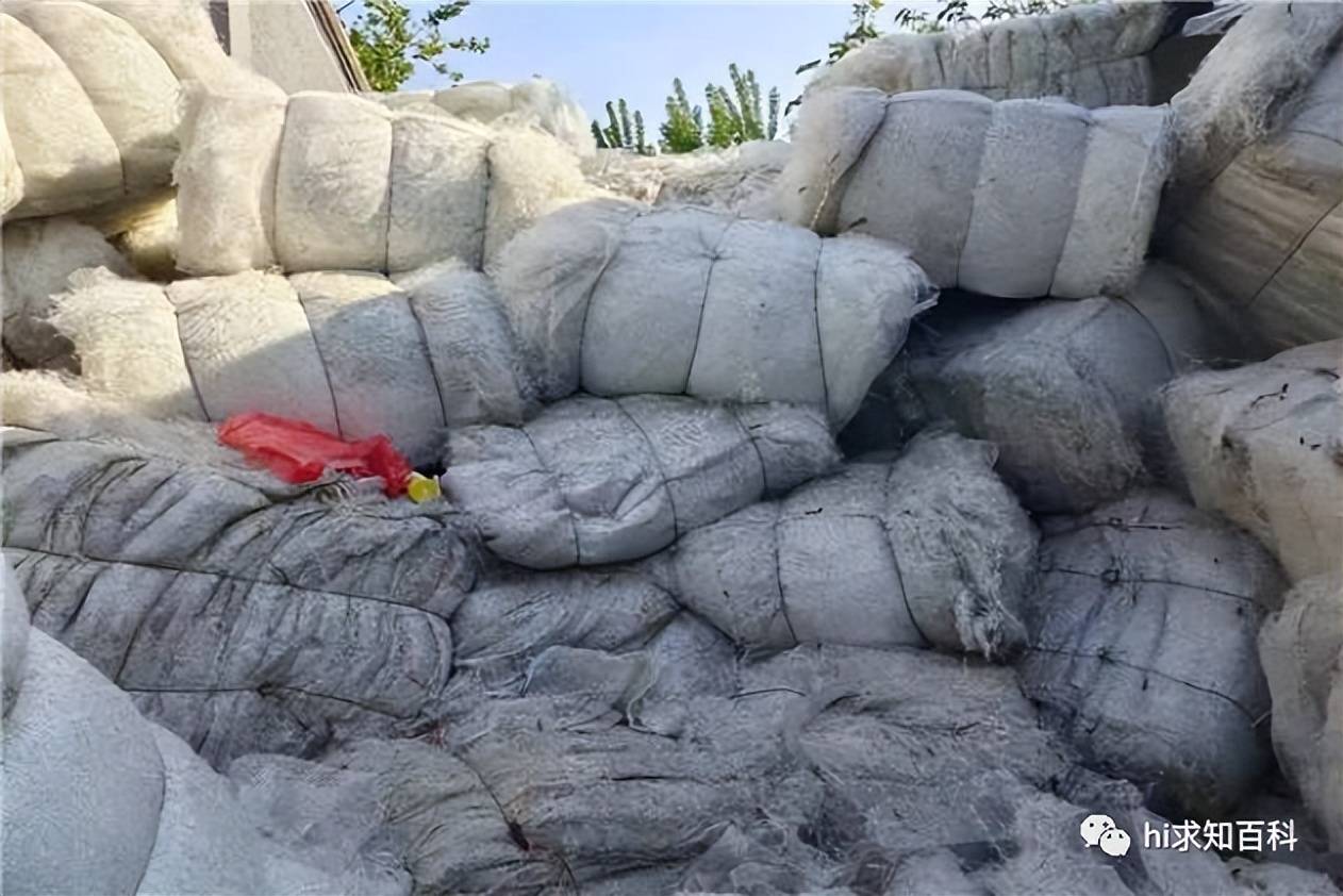 石棉是石头还是棉花?