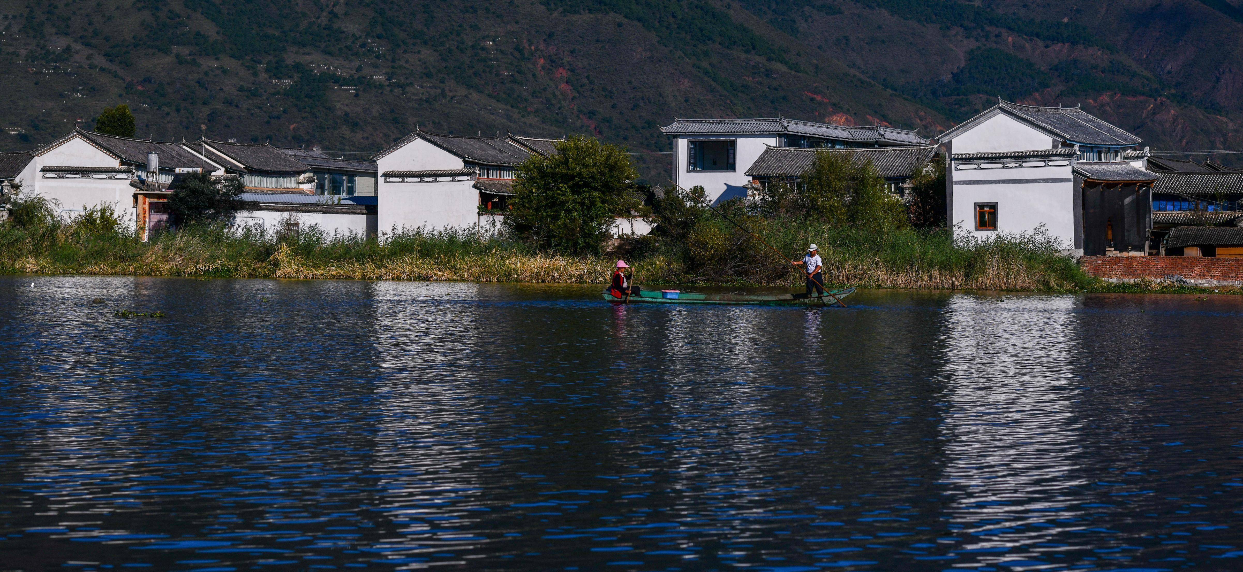 湿地之美丨云南洱源西湖湿地