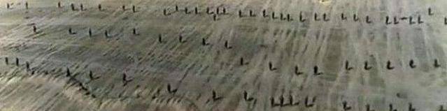 散兵线战术是指,在进攻或防守时,每个士兵之间拉开较大间隔,形成松散