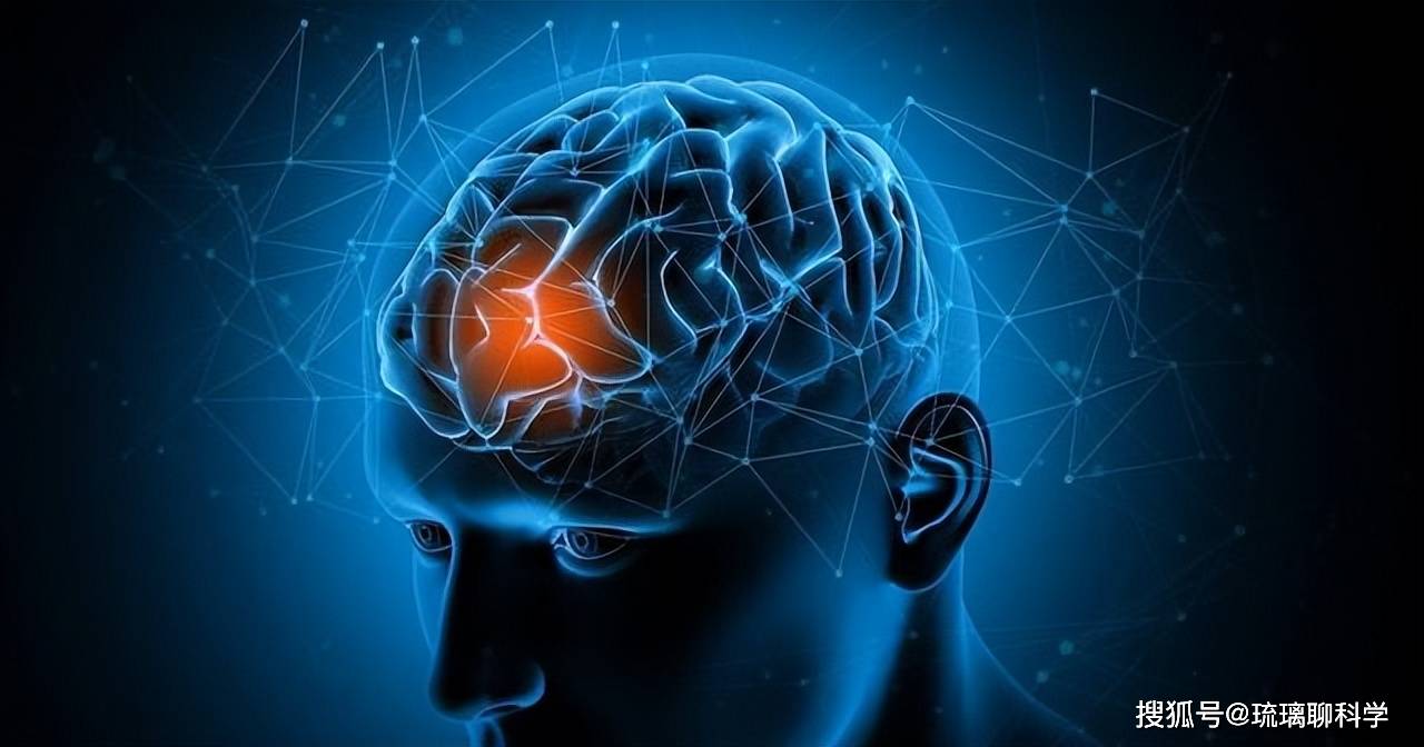 科学家:人类眼睛像素高达5.76亿,这意味着什么呢?_人眼_视觉_系统