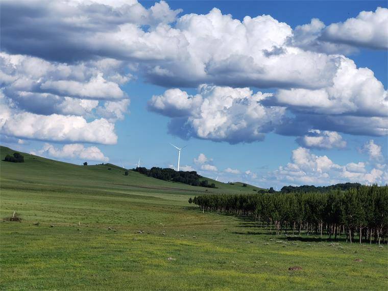 承德围场坝上草原欣欣民宿,体验惊险刺激的草项目,夏日仅需299!