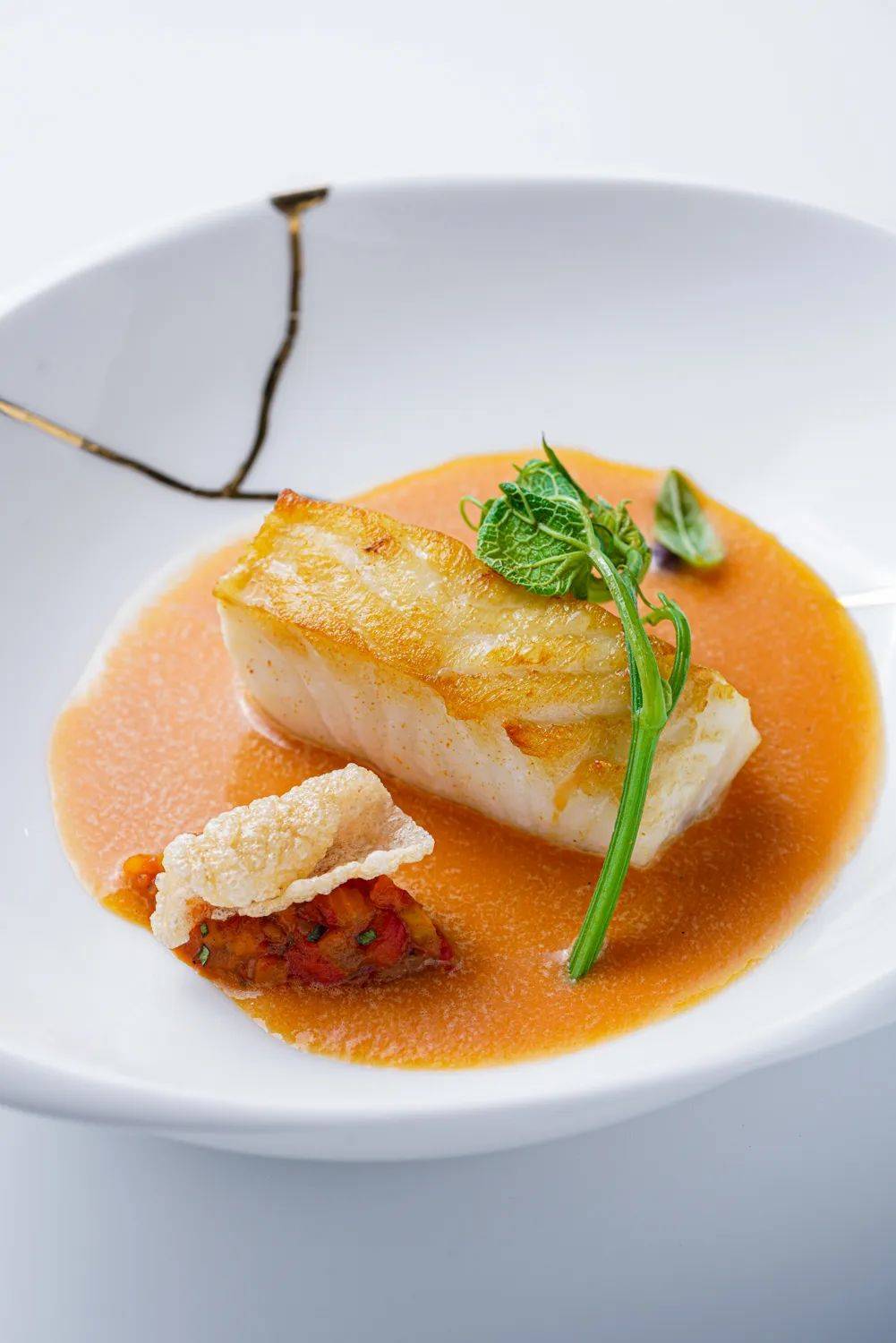 fishpan fried tooth fish, seafood & fresh basil sauce,chilli