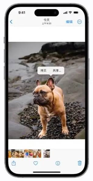苹果手机拍一寸照片怎么拍？iphone用户必知的拍摄秘诀！-苹果手机怎样拍一寸照片