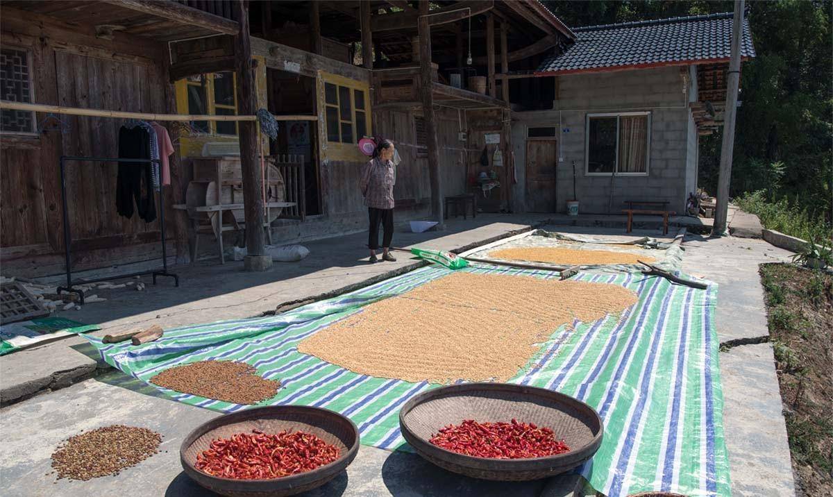 72岁的母亲对46岁的女儿说:你在母亲面前受伤就好了_白春香_刘琼_女婿