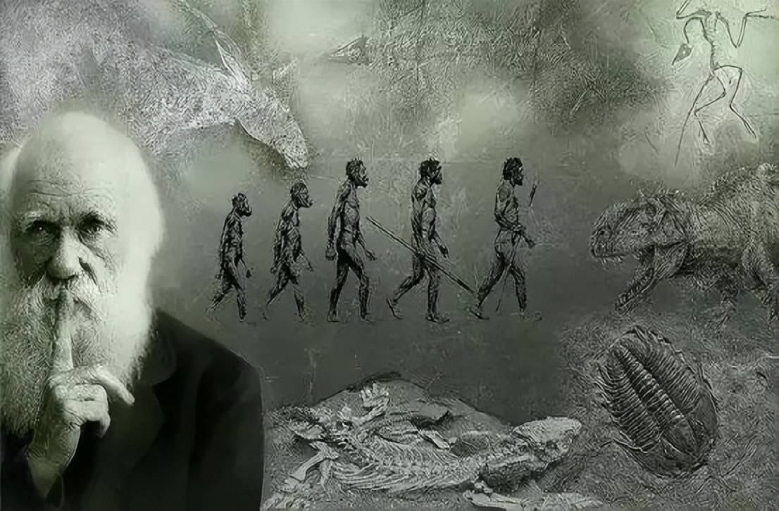 人类凭什么站在食物链顶端?进化论诞生百年,为何干不翻神创论?