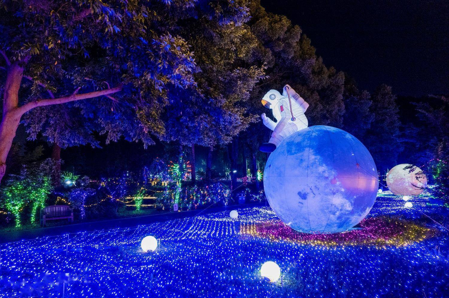 武汉植物园奇幻森林夜游升级归来_光影_自然_星空