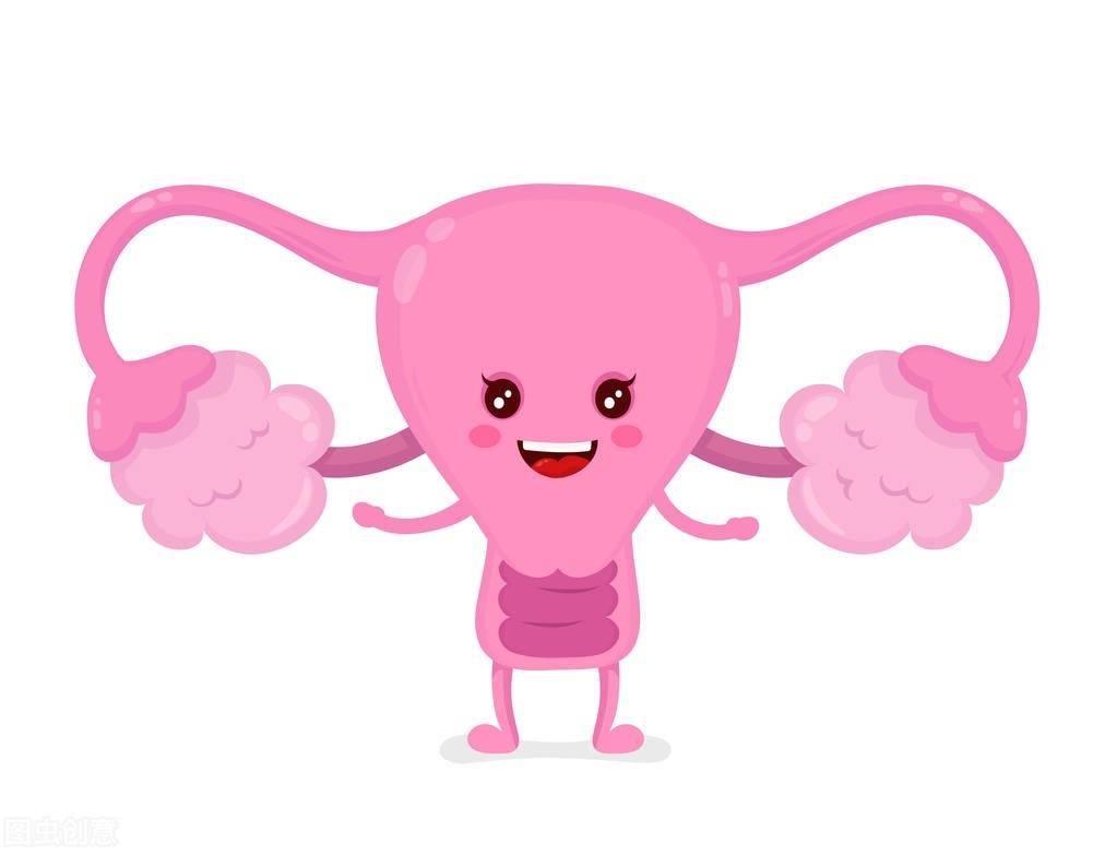 石女是怎么一回事_子宫_月经_阴道