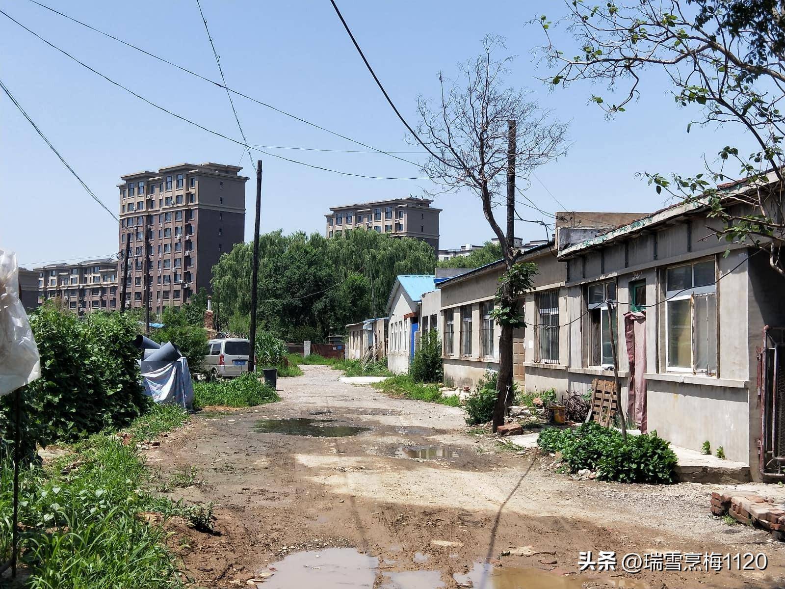 于洪区造化街道白家村 伯尔吉及特家族墓所在地_永济_阿尔沙兰_沈阳