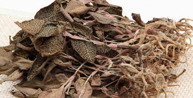 中草药简介后来,药农在山中发现,鸟类经常嘴里叼着金线莲飞来飞去,药