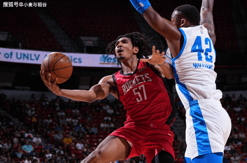 他总共代表印第安纳步行者在发展联盟的下属球队韦恩堡疯蚁出场50次