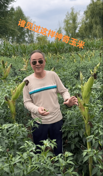 《亮剑》"丁伟"定居河北农村, 喝井水种蔬菜,吃10元苍蝇小馆_网友