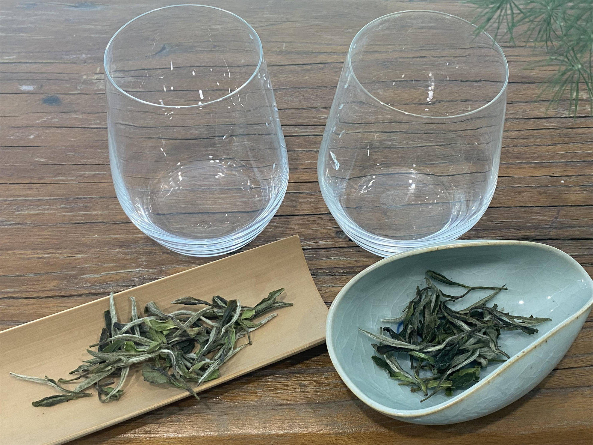 玻璃杯泡白茶,是用"上投法"?还是"下投法"?