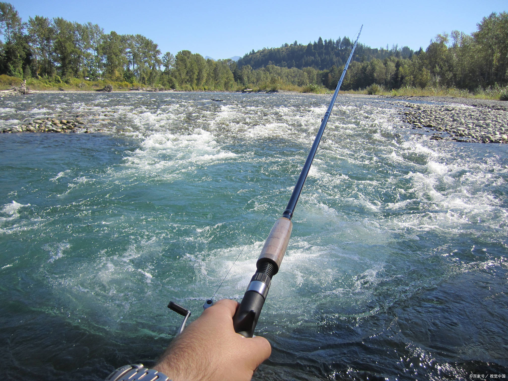 「威美特渔具」威海钓鱼竿之路亚如何判断鱼群?_饵料_时候_白条
