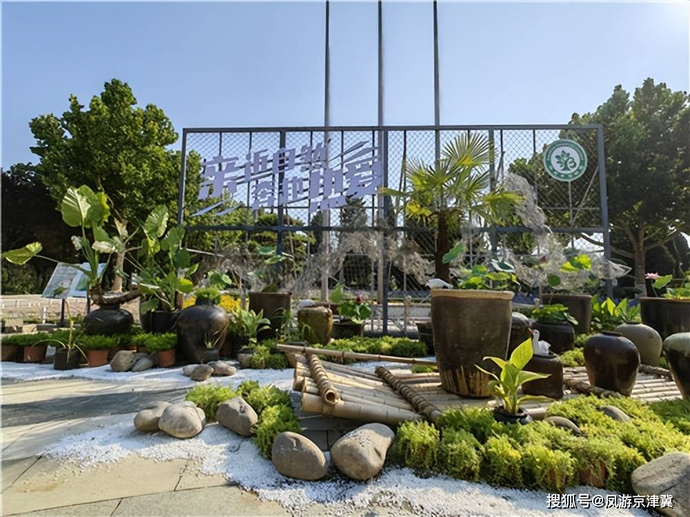 保定市植物园第四届水生植物艺术展拉开序幕_展览_游客_活动