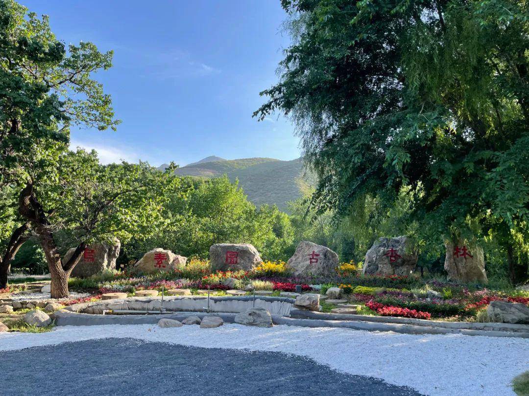 朔州市统战部部长,宣传部部长彭雁一行到内蒙古山西商会走访调研_建设