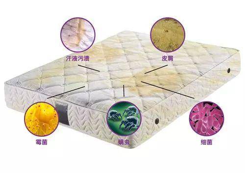 床上堆积的螨虫对宝宝的健康构成了威胁.