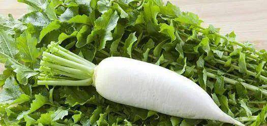 鲜甜清香,十分钟搞定_萝卜_奶白_开水